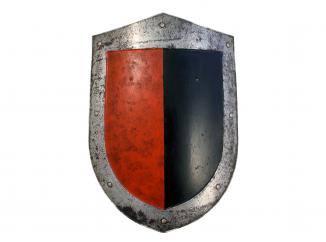 A Decorative Shield